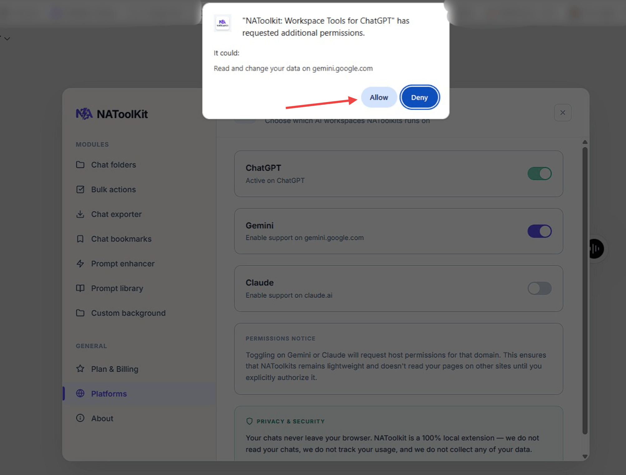Browser permissions prompt asking to allow NAToolKit access
