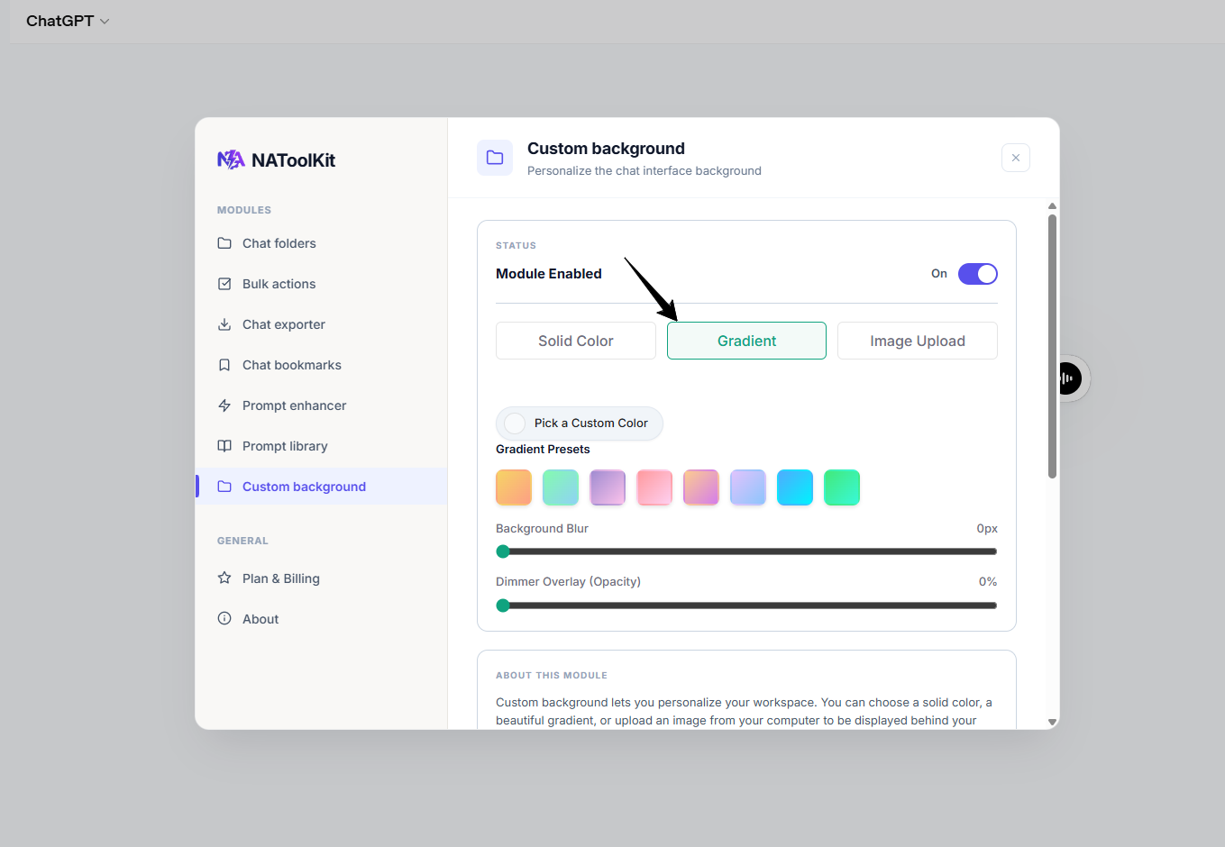 Custom Background controls, including color, gradient, image upload, blur, and dimmer settings